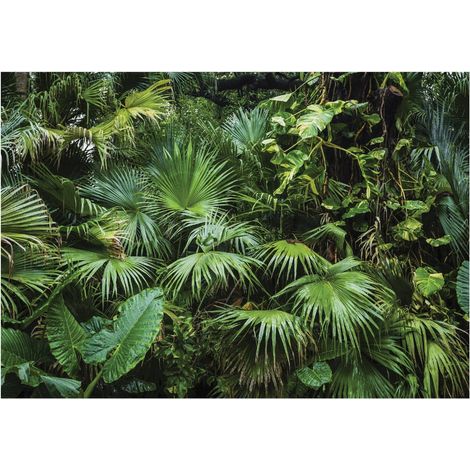 Papier peint panoramique feuilles de jungle forêt tropicale décoration murale – 350 x 250 cm Wallarena