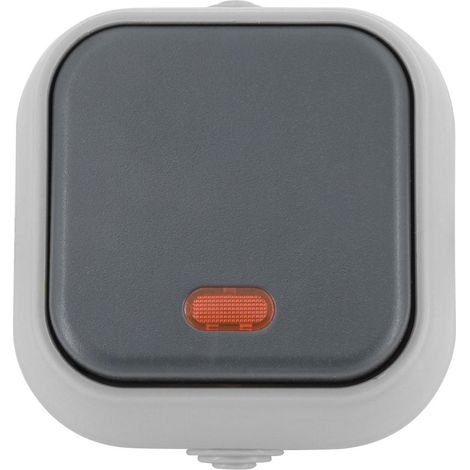 Bouton-poussoir Simple avec Voyant Lumineux IP54 Gris (1/5)