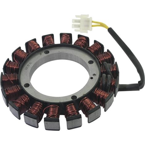 Lichtmaschine Motor Motor Grubber 2P82F LONCIN 270190023-0001