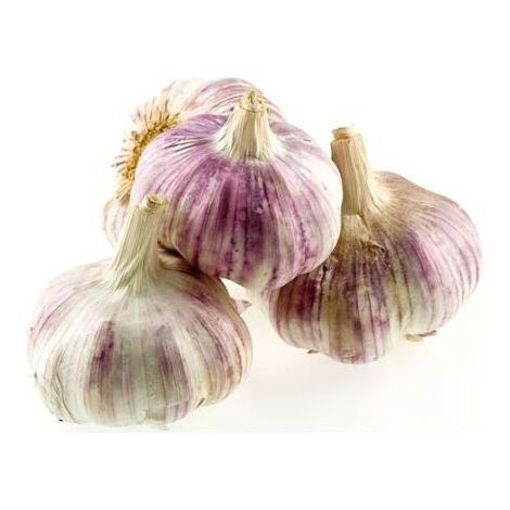 Rose gayant 40+ Ail a repiquer 500 gr.. Marque :. Réf. : Rose gayant 40+ - Rose gayant 40+ Ail a repiquer 500 gr.. Marque :. Réf. : Rose gayant 40+ (1/2)