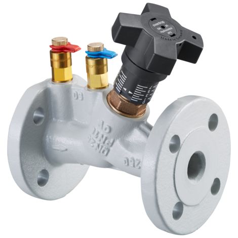 OVENTROP Vanne d'équilibrage de circuit HydroControl VFC avec brides selon EN 1092-2 PN 16 DN 32, avec deux vannes de mesure Classic montées, fonte grise (GG 25), 1062648