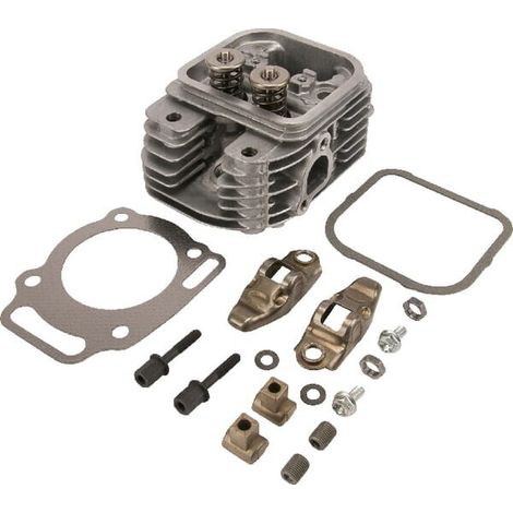 Zylinderkopf BRIGGS ET STRATTON 809201 (1/3)
