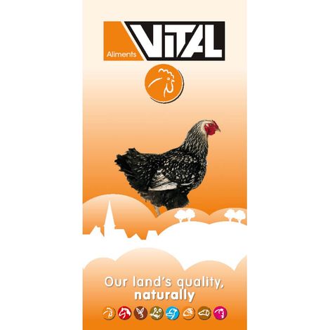 Graines Universal Aliment pour volaille 25 kg Aliment pour volailles Graines Aliment supplémentaire pour poulets Aliment de base