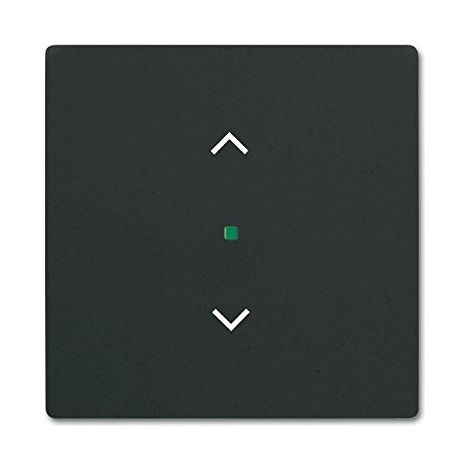 BUSCH-JAEGER 6232-10-885 WIPPE FUTURE LINEAR, 1-FACH, MIT SYMBOL JALOUSIE, SCHWARZ MATT 2CKA006220A0500