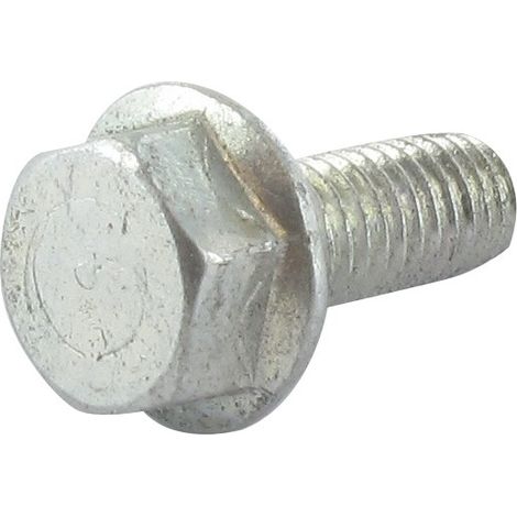 Vis 1/4'' x 15 mm GGP - CASTELGARDEN 125943008/0