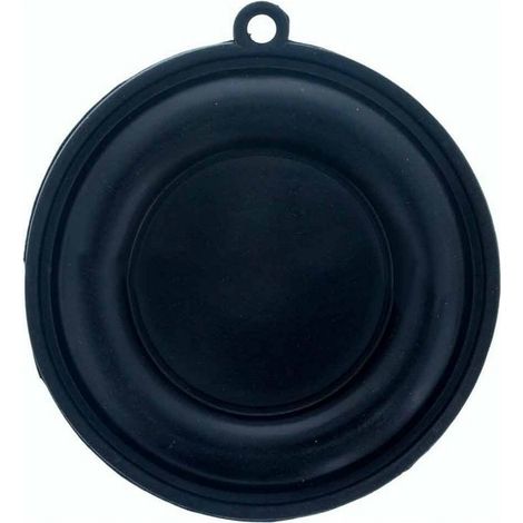 Membrana calentador Cointra 10 lts 65mm