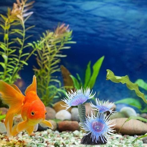 2 pièces de résine corail souple simulation silicone plante artificielle aquarium décoratif océan grand aquarium 8 x3.5 x 3 cm (1/5)
