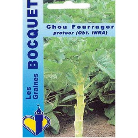 Chou 'Protéor' le sachet de 5000 graines (25g) (1/2)