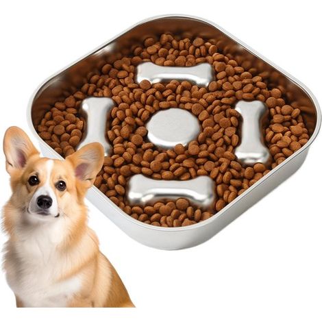 Gamelle anti-glouton - 21,5 cm - Couleur argent - Chiens et chats - Alimentation saine (1/5)