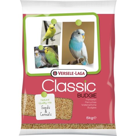 Klassische Wellensittiche 5 kg
