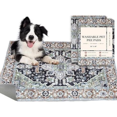 Tapis lavables pour chiens - Lot de 2, anti-fuites, 40 x 60 cm (1/4)