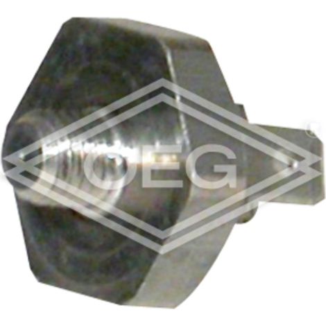 BOSCH Sensor de temperatura, 87229333160