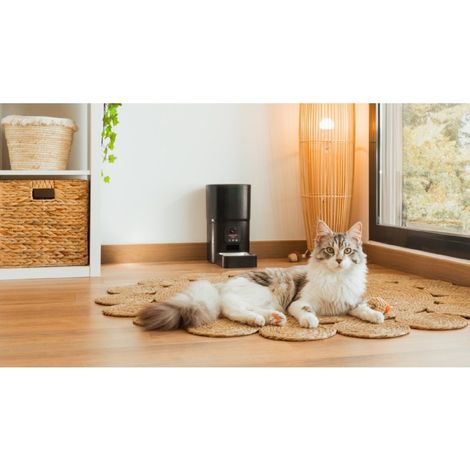 Cecotec Distributeur Automatique pour Animaux avec Contrôle WiFi, Caméra et Enregistreur Vocal Pumba 6000 Purrfect Meal Smart (1/4)