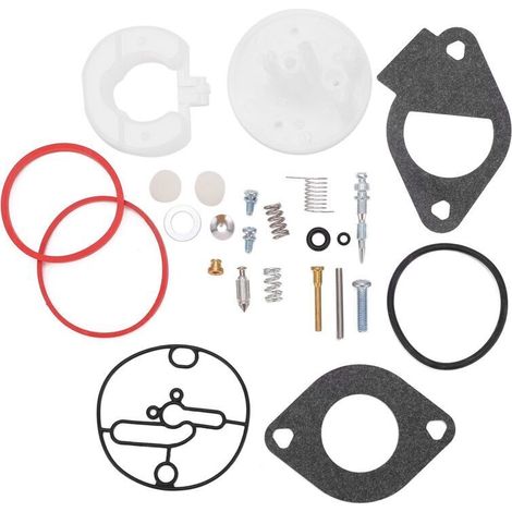 Kit de réparation de carburateur 25 pièces pour tondeuse à gazon, outil de réparation pour la plupart des moteurs modèle 215000 (1/5)
