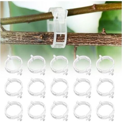Tuteur Tomate 300 Pièces Support Plante grimpante tuteur Monstera Treillis Support pour Plantes grimpantes Clips de Support pour Plantes pour légumes PlantesTomates (300 pièces) (1/5)