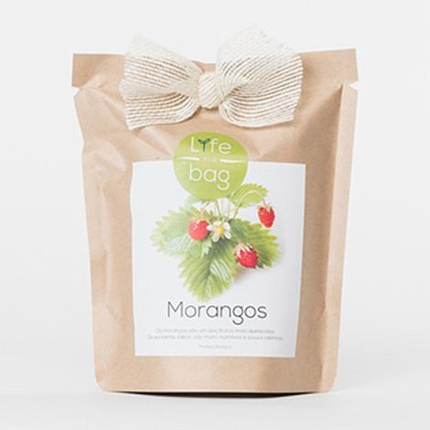 Kit bio prêt à pousser Fraise (1/2)