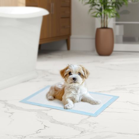 Juego de 100 almohadillas absorbentes de 6 capas para perros, alfombrillas higiénicas para perros hechas de tela no tejida, papel y PE, 45x30 cm, azul y blanco. (1/5)