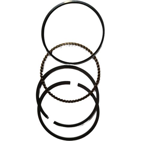 Juego Segmentos compatible con Sr1P65F  Ref 974568