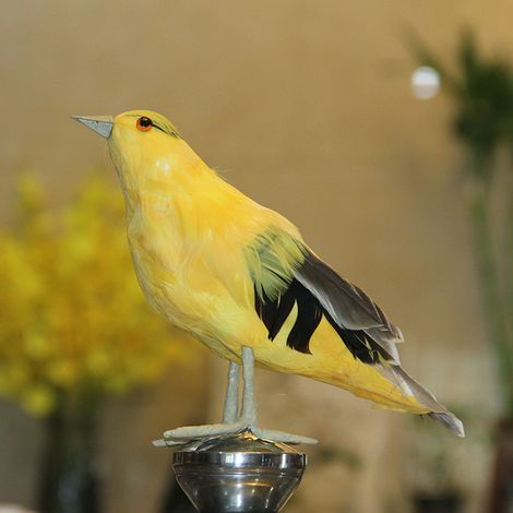 Ornement de jardin artificiel en forme d'oiseau oriole, modèle réduit, décoration extérieure (1/5)
