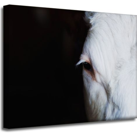 Leinwanddruck „Tiere – Auge einer Kuh“, 50 x 40 cm