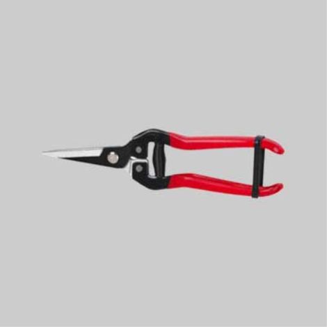 Forbici coglifrutta e ortaggi ideal star 19 cm IDEAL STAR