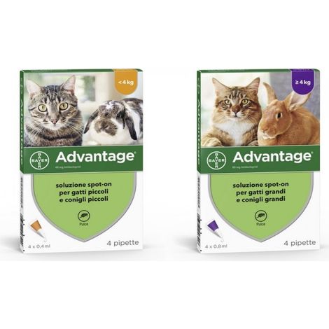 Bayer ANTIPARASSITARIO ADVANTAGE PER GATTI E CONIGLI  4 kg e oltre Bayer