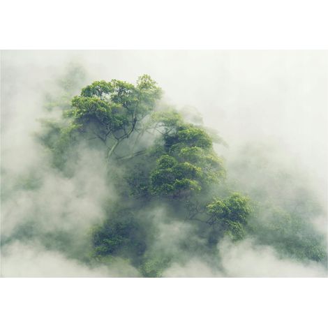 Papier peint avec motif de forêt tropicale, décoration murale pour salon et salle à manger – 250 x 175 cm Wallarena
