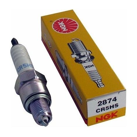 The NGK CR5HS spark plug is equivalent to the Champion Z9Y and CHZ9Y spark plugs.