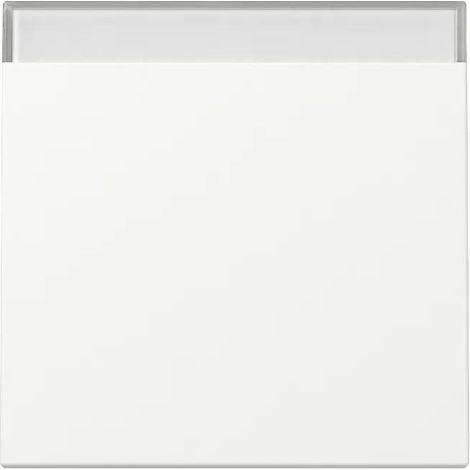 Gira Tecla BSF System 55 blanco puro m [329927], 3299 27