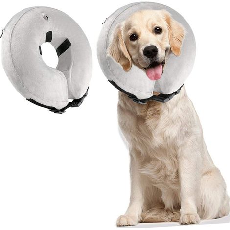Collier De Protection Pour Chien - Collier Gonflable Pour Rééducation Post-Chirurgicale - Anti-Léchage Et Anti-Grattage - Réglable - 5 Tailles (1/5)