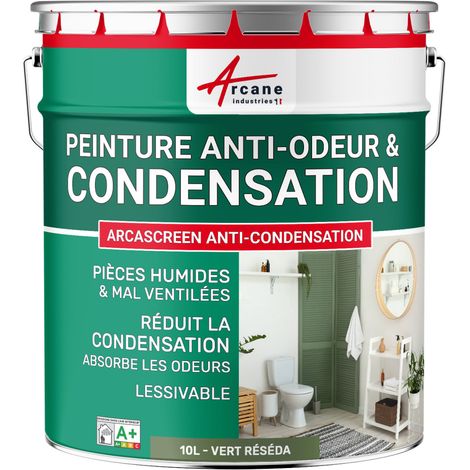 Peinture anti condensation, anti odeur, moisissure - 10 L Vert Réséda - RAL 6011 - ARCANE INDUSTRIES (1/5)