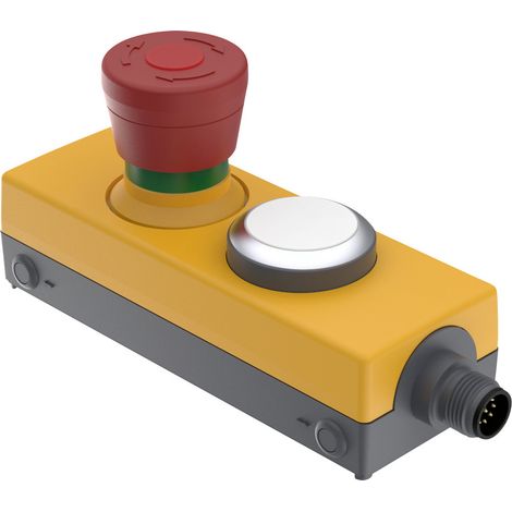 RAFI 1.22.114.392/0200 DT091 Drucktaster 24 V 0.5 A  tastend  (L x B x H) 123.2 x 40 x 60.2 mm  1 St