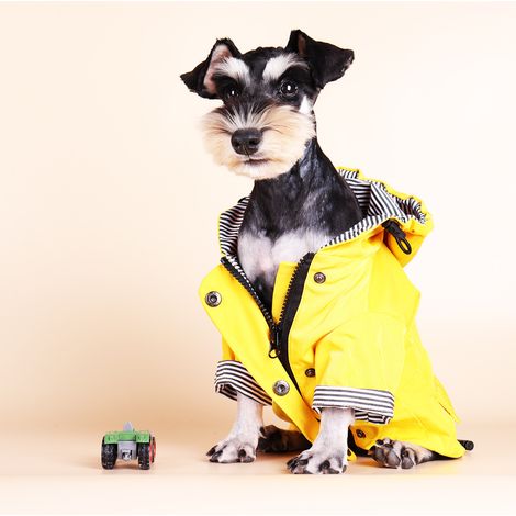 Regenmantel für Hunde, Größe 5XL, mit reflektierenden Knöpfen und Reißverschluss, wasserdicht (1/5)