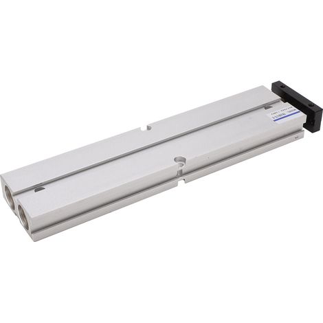 Vérin pneumatique à double effet en alliage d'aluminium antirouille TN16 0,10,9 MPa 10200 mm (TN16X175-S) (1/5)