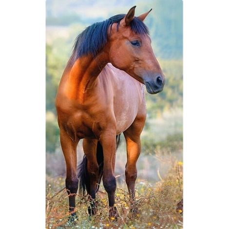 Serviette de toilette marron cheval, 30 x 50 cm