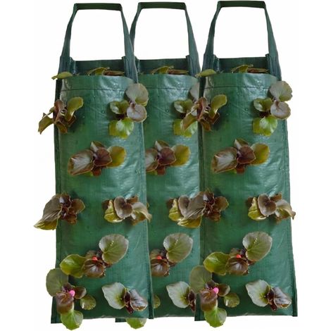 Jardinière suspendue pour fraisiers, lot de 3, inversée tomates, sacs culture suspendus (1/5)