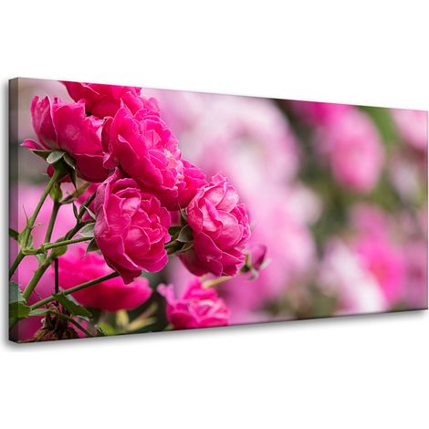 Leinwanddruck „Botanische rosa Rosen“, 80 x 40 cm