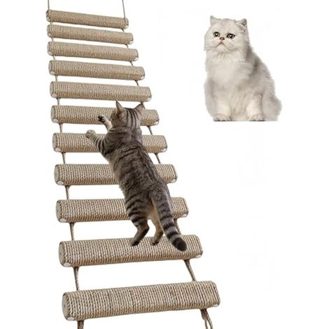 échelle pour Chat, Pont-échelle Mural pour Chaton Structure d'escalade en Corde de Sisal Arbre a Chat Mural Cadre d'escalade Meubles pour Animaux de Compagnie (Kaki, 100 cm, 1) (1/5)