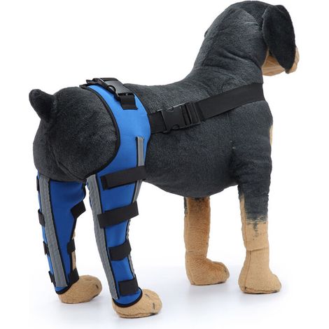 Tutore per ginocchio per cani con doppia protezione per la zampa posteriore, per lussazione del legamento crociato anteriore, artrite, mantiene l'articolazione calda, supporto extra, blu (