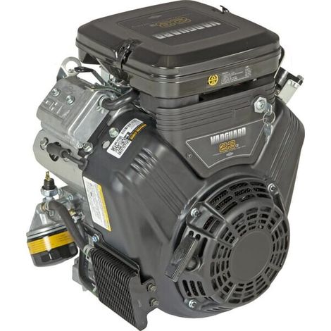 Moteur BRIGGS ET STRATTON 3864470451B5 (1/5)
