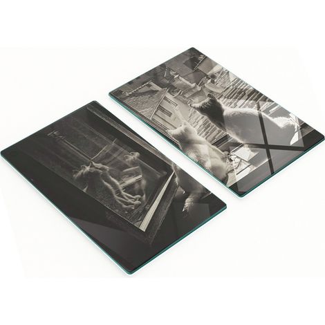 Tablas de cocina decorativas multifuncionales de cristal con dise帽o de gatos en la ventana, 2x30x52 cm.