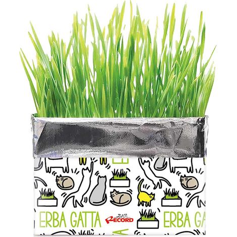 Katzenminze mit Weidelgras Samen 120g Packung (1/2)