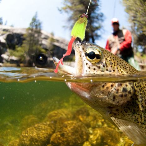 Leurre souple en forme de souris avec hameçons triples, appât de pêche vert résistant
