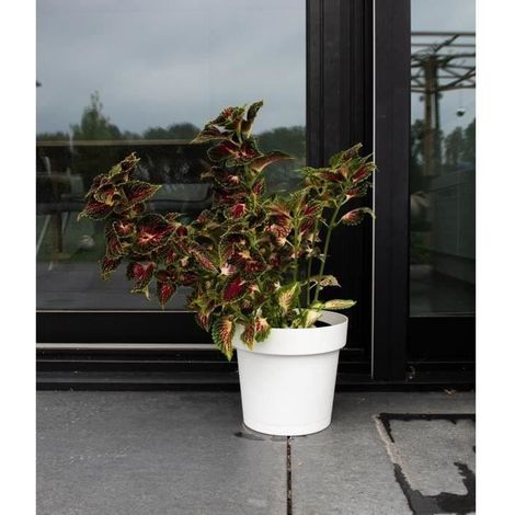Vaso con riserva d'acqua - GARDEN ID Glamour - Bianco 40 cm - Superficie granulosa - Interno/esterno - Design essenziale.