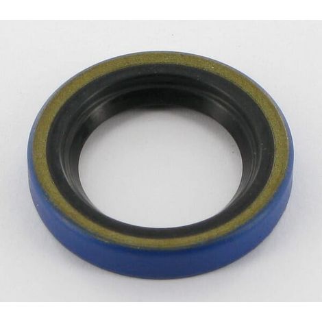 Dichtung Eingangsachse ETESIA ET25543