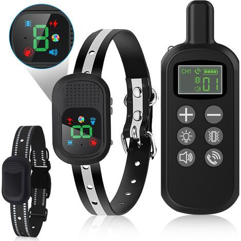 Collier de Dressage - Châtelec - Rechargeable - 1500m - IPX7 Étanche - 3 Fonctions