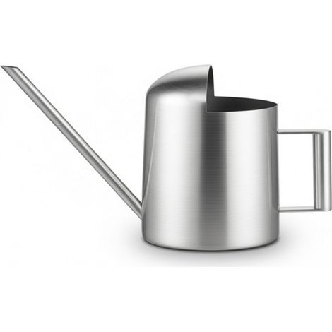 Arrosoir miniature moderne en acier inoxydable, format 300 ml, idéal pour les plantes de table. (1/4)