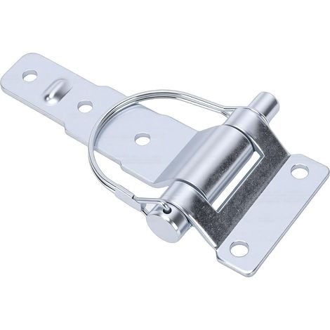 Charnières de Remorque Galvanisées avec Goupille en D Amovible Acier, Charnière Portail Robuste Plaquée Zinc pour Camions, Mini-fourgonnettes, Remorques à Chevaux, Caravanes (1/5)