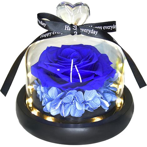 Sous la cloche de verre, les fleurs ne se faneront jamais, un cadeau de Noël pour les amoureux et les amis. (1/5)