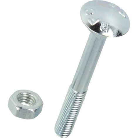 Vis plate ronde galvanisé M5 x 25 mm avec écrou hexagonal